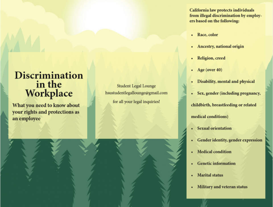 An image of the discrimination in the workplace brochure front