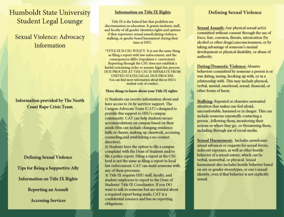 An image of the sexual violence brochure 1 